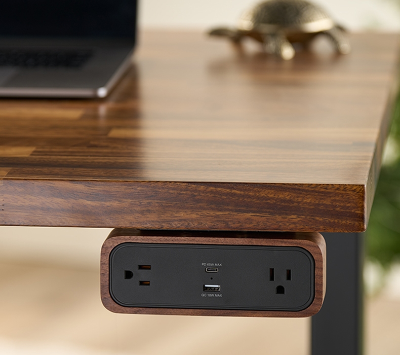Duomount Power Strip with walnut accent housing