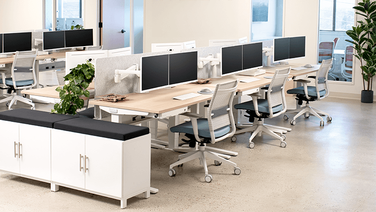Team Office