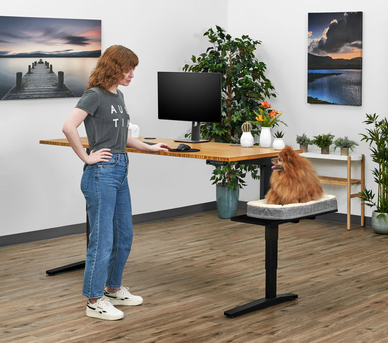 A person locks eyes with their fur baby laying on a Pet Bed sitting on top of a Sidecar Shelf