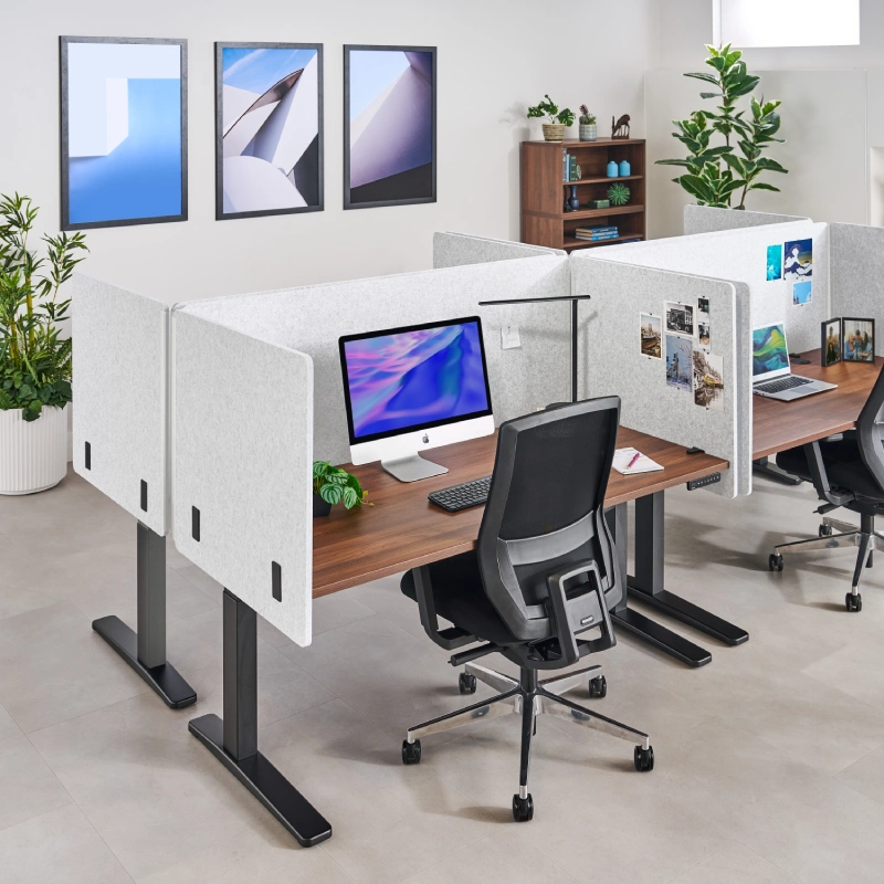 3-Sided Tall Acoustic Privacy Panels in Light Gray creating private workstations in a row of UPLIFT Standing Desks