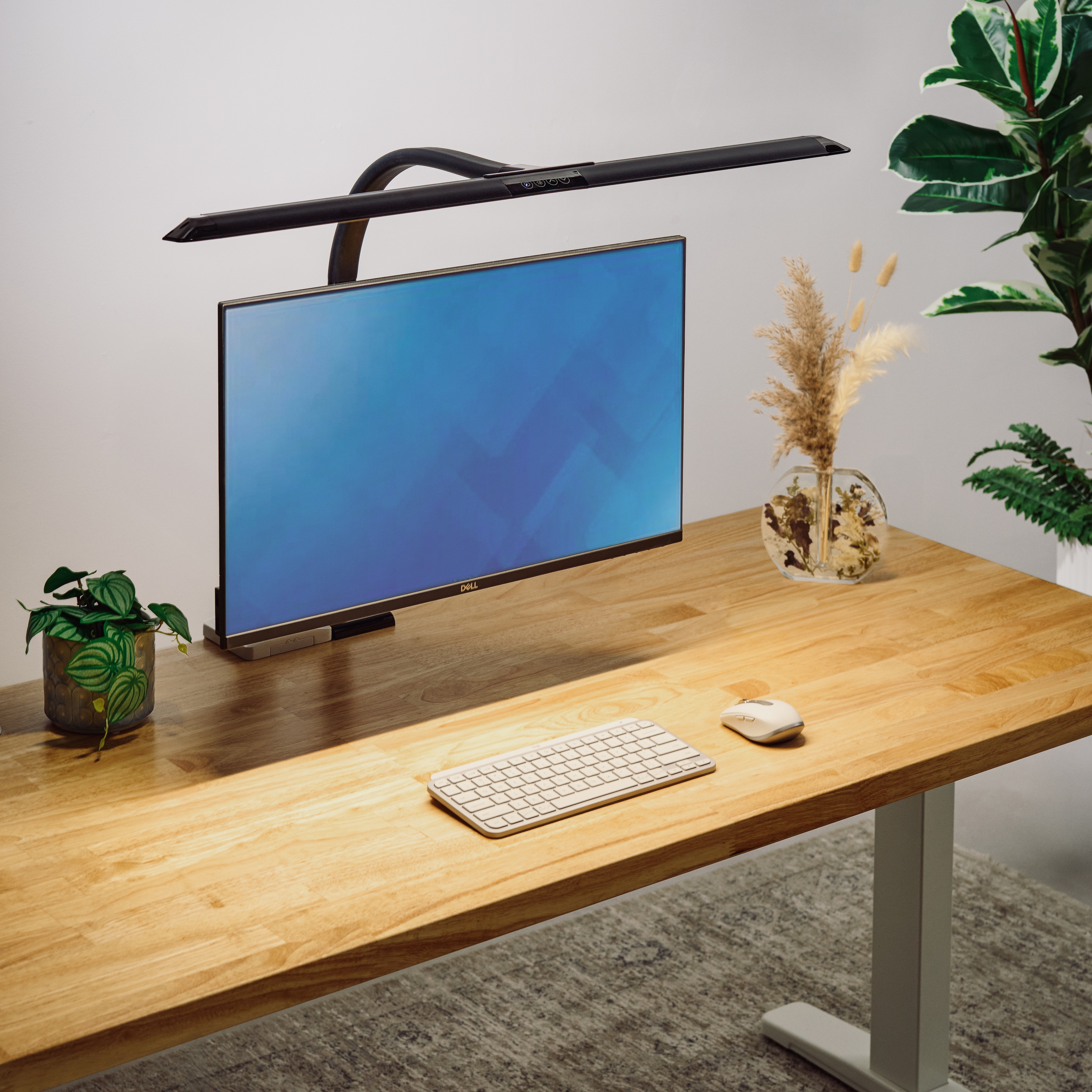 Lighting home page categories grid