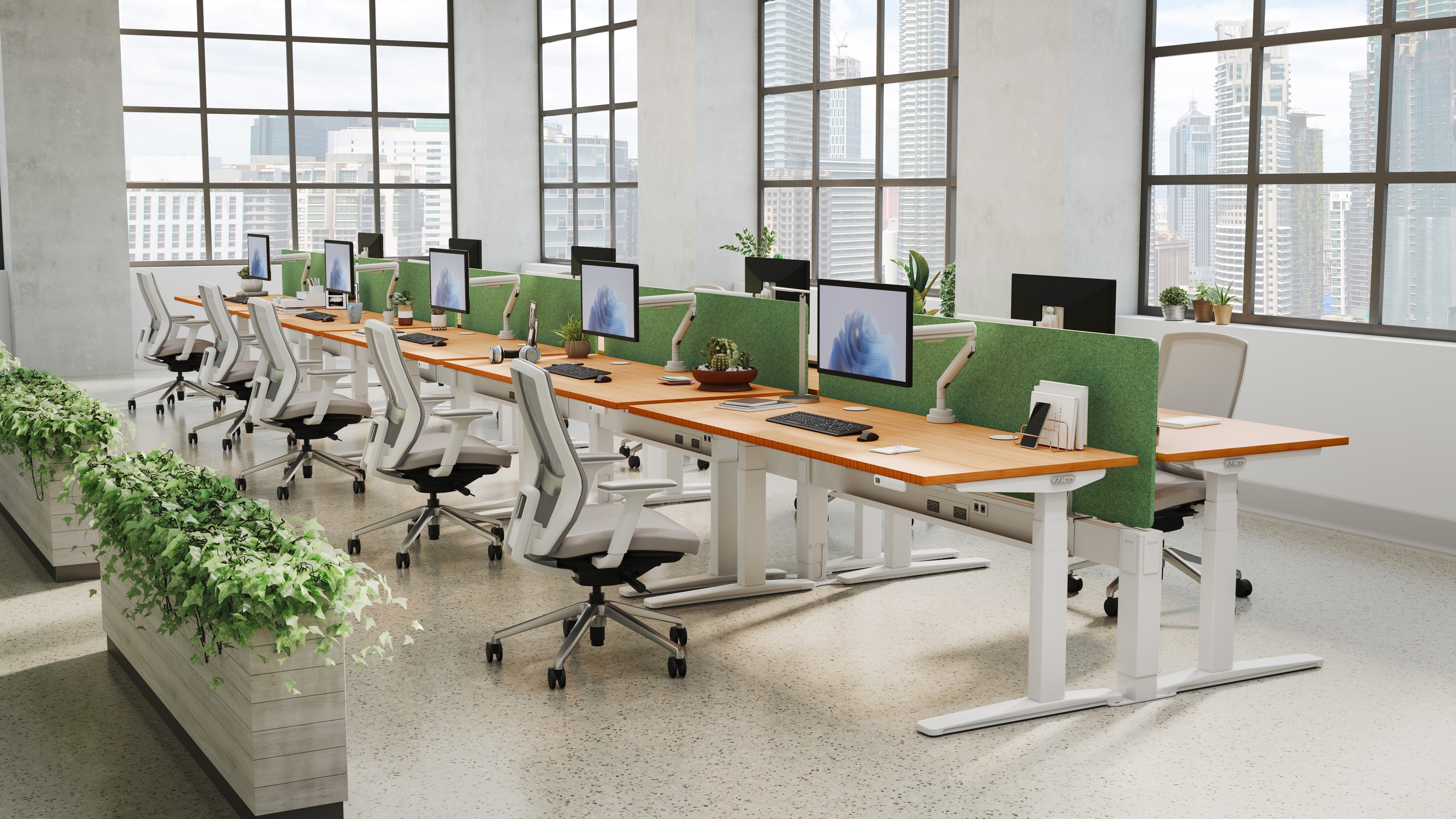 Rows of UPLIFT Standing Desks with bamboo desktops, white frames and green privacy panels in a bright open office