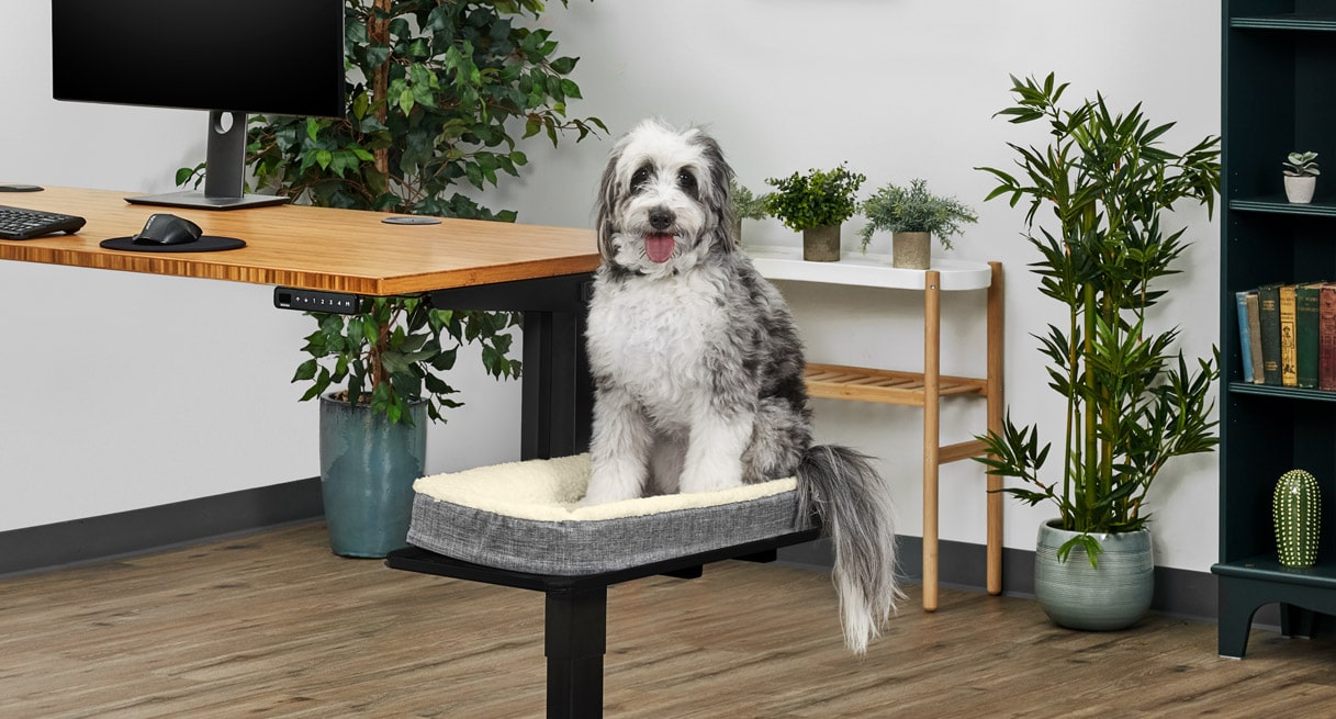 The Pet Bed makes a great spot for Spot on a Sidecar Shelf or Desk Extension