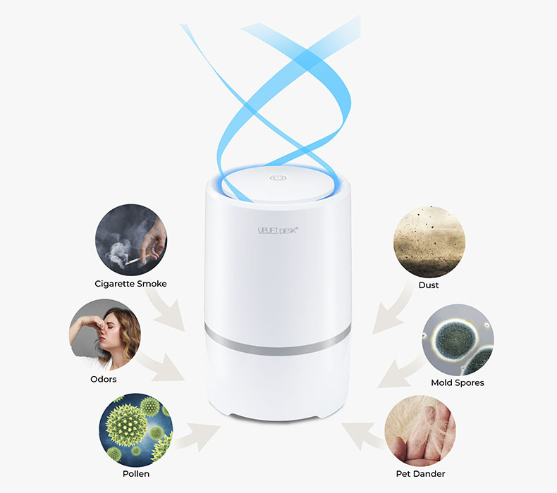 Desktop Air Purifier shown with images of dust, mold spores, pet dander, pollen, odors, and cigarette being filtered