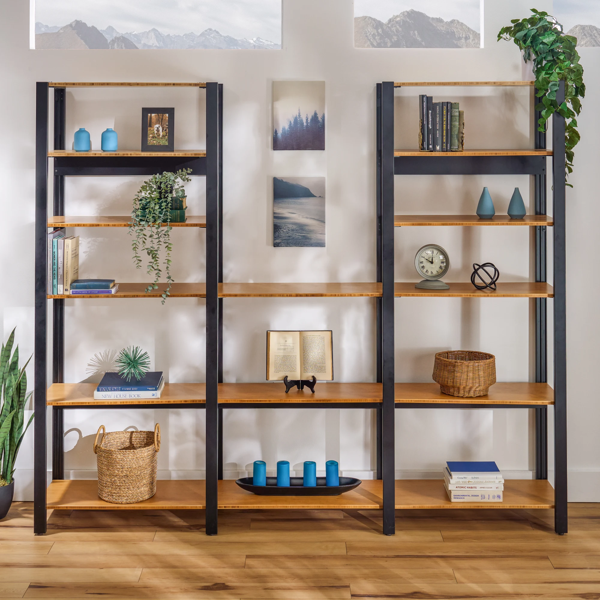 Sequence Shelves hover image