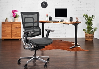 Intuition Ergonomic Chair hover image
