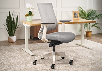 Clarksville Ergonomic Chair hover image