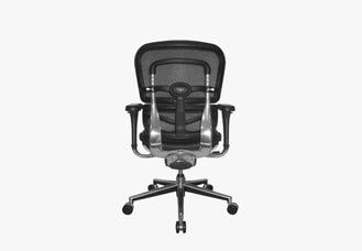 Raynor Ergohuman Mesh Chair with Leather Seat LEM6ERGLO hover image