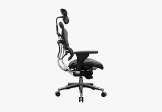 Raynor Ergohuman Mesh Chair with Leather Seat and Headrest LEM4ERG hover image