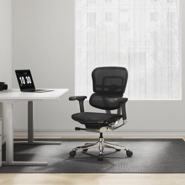 Raynor Ergohuman Mesh Chair ME8ERGLO-GEN2 hover image