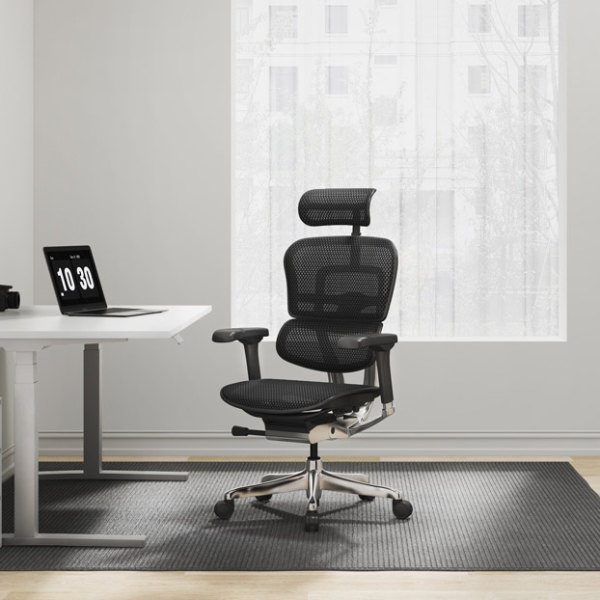Raynor Ergohuman Mesh Chair with Headrest ME7ERG-GEN2 hover image