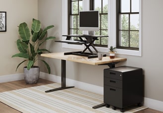 Lady Bird Standing Desk Converter hover image