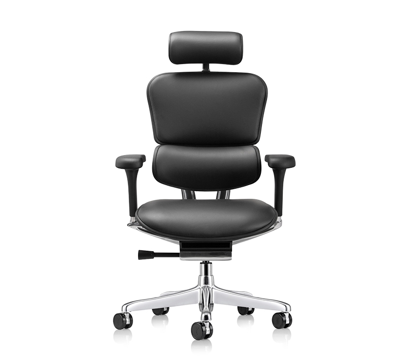 Raynor Ergohuman Leather Chair with Headrest LE9ERG