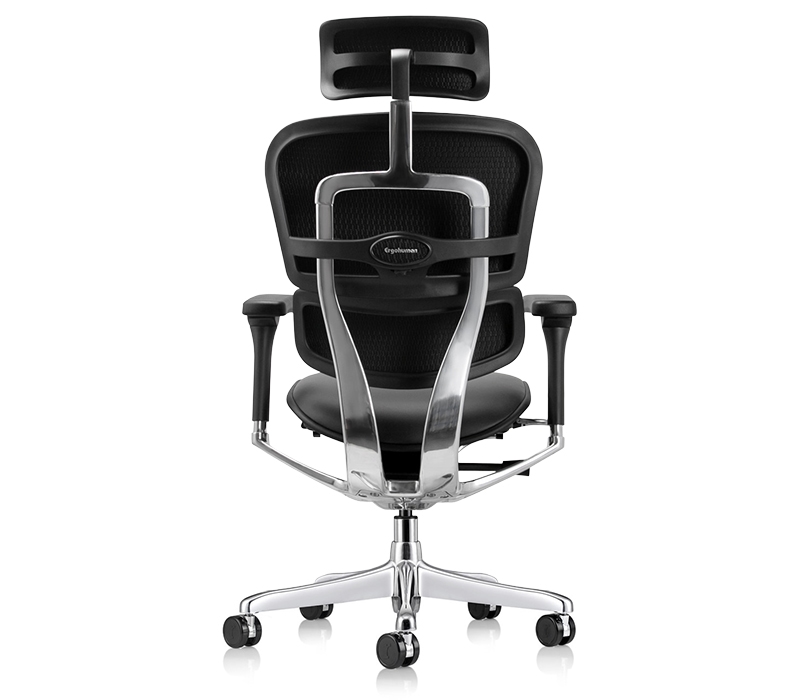 Raynor Ergohuman Leather Chair with Headrest LE9ERG