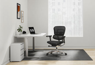 Raynor Ergohuman Mesh Chair ME8ERGLO-GEN2 hover image