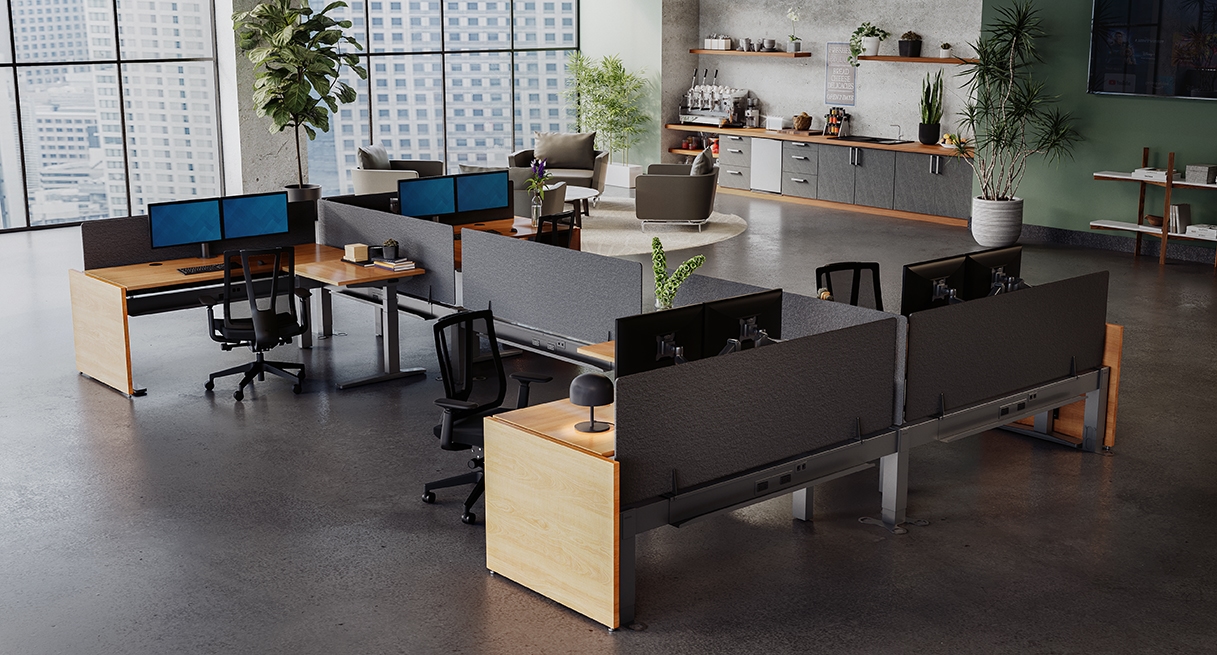 Fusion Maple Gallery Panel at the end of a row of UPLIFT Standing Desks with Acoustic Privacy Panels.