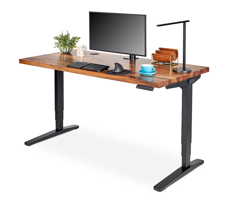 Saman Butcher Block Solid Wood UPLIFT Standing Desk with Range-X Single Monitor Arm