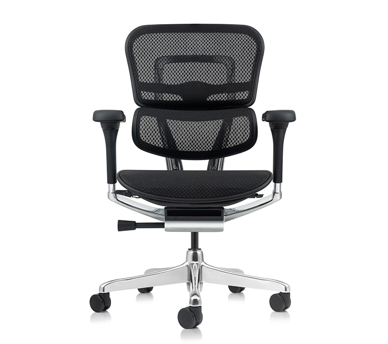 Front view of an ergonomic Raynor Ergohuman Mesh Chair