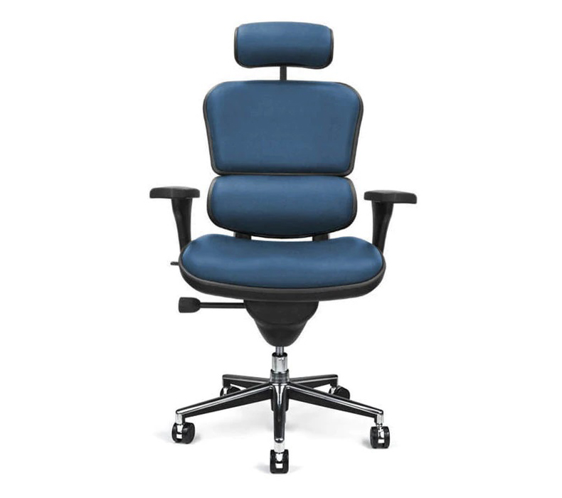Raynor Ergohuman Chair Custom Fabric, Custom Fabric Office Chairs