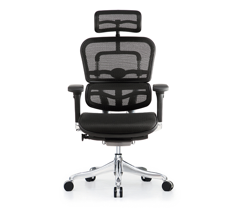 Raynor Ergo Elite Chair with Headrest ME22ERGLT Front View