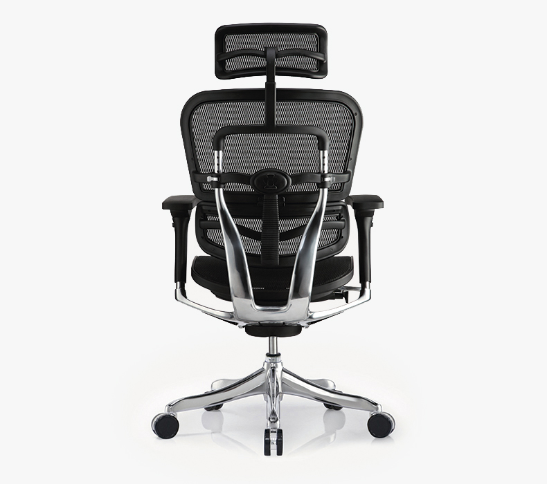 Raynor Ergo Elite Chair with Headrest ME22ERGLT Back View