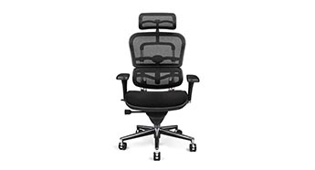 RAY372 Raynor Ergohuman Mesh Chair with Fabric Seat and Headrest FME11ERG