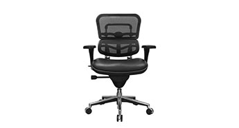 RAY343 Raynor Ergohuman Chair - Mesh Chair with Leather Seat LEM6ERGLO