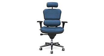 RAY351 Raynor Ergohuman Chair - Custom Fabric Chair with Headrest FE55ERG