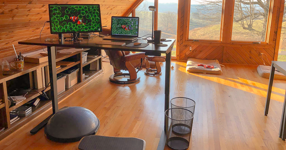 Working from Home Desks